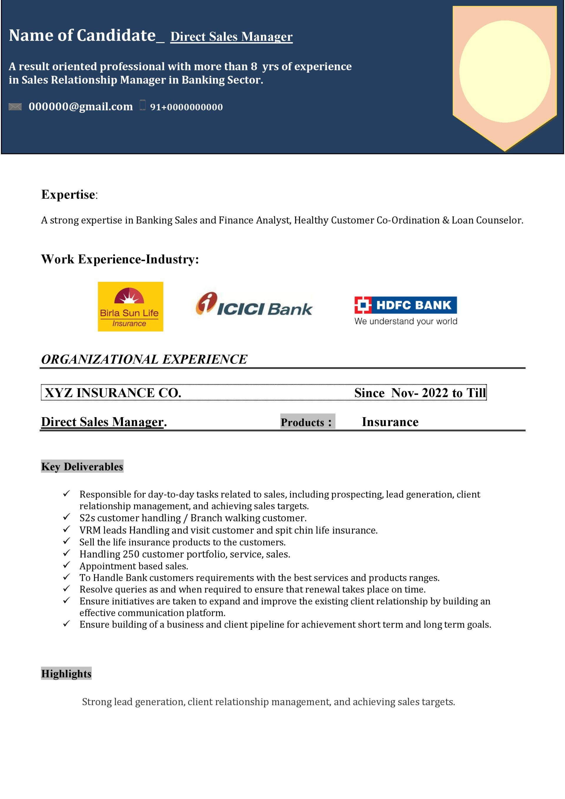 Free Professional Sales Resume Templates in Word | Prakruti Digital ...