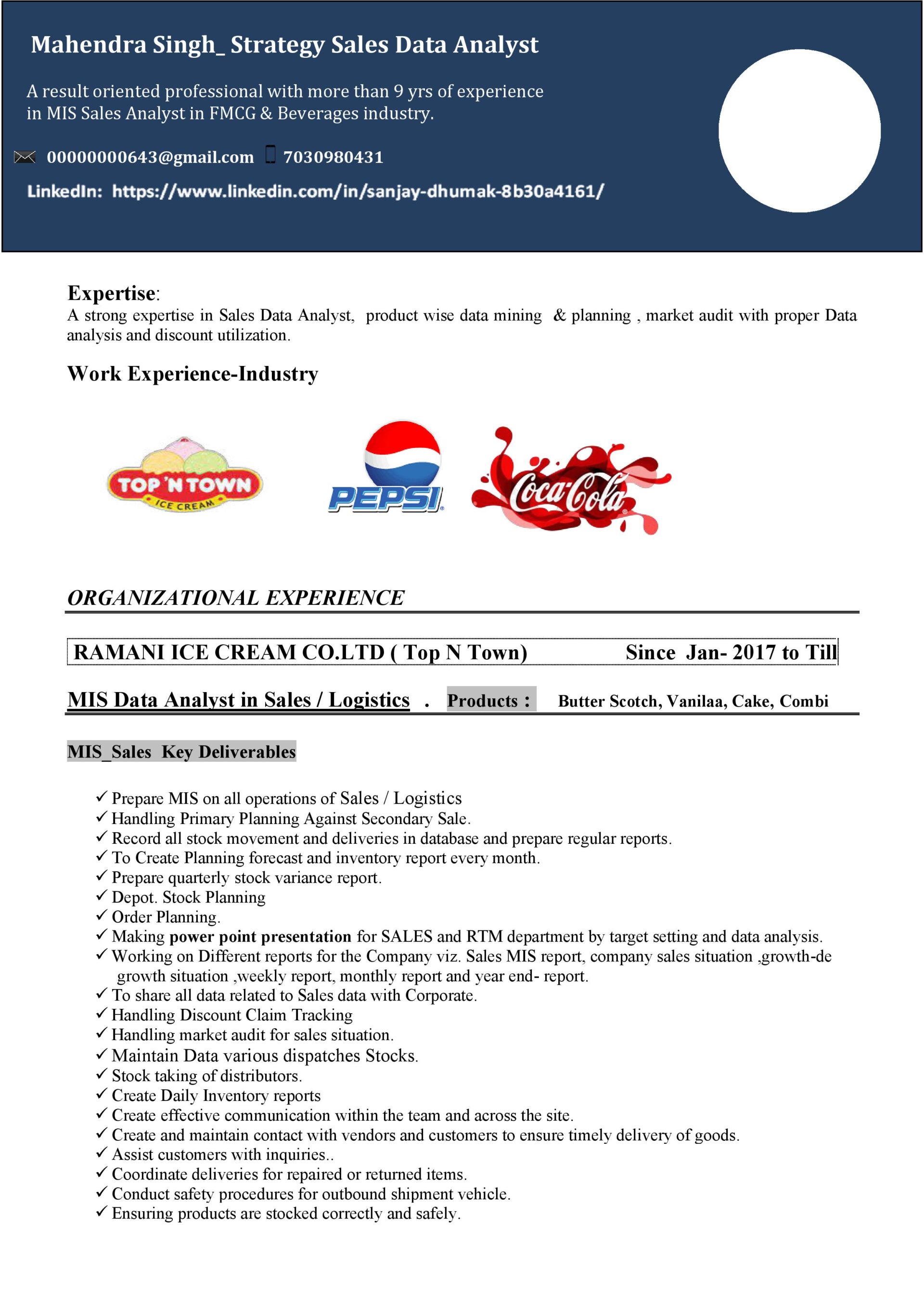 Free Professional Sales Resume Templates in Word | Prakruti Digital ...