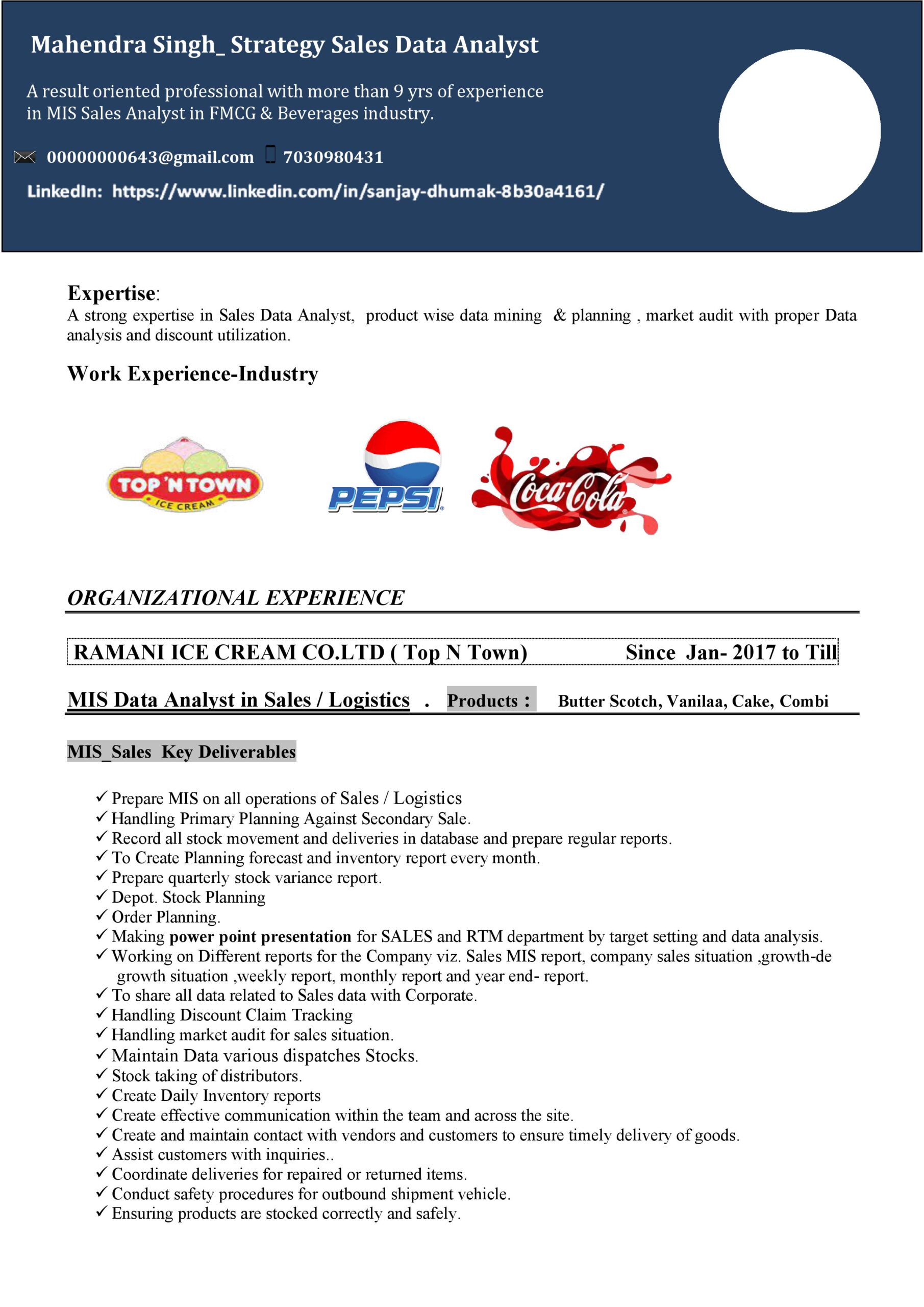 Free Professional Sales Resume Templates in Word | Prakruti Digital ...