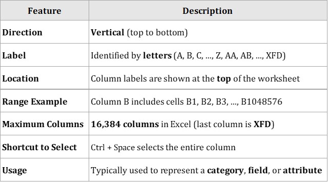 What is Column in excel? 