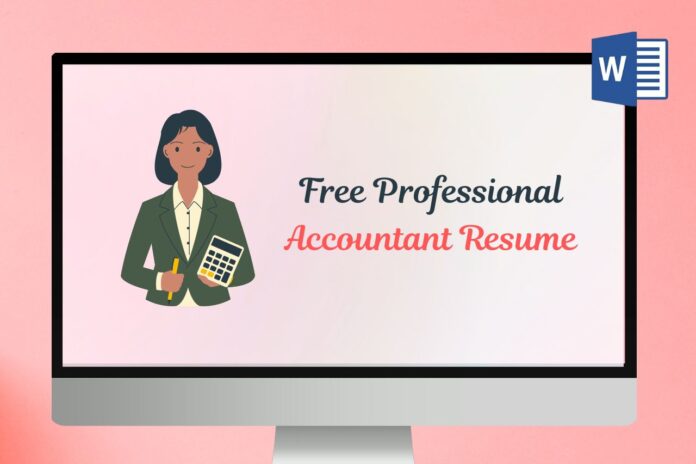 Professional Accountant Resume Format in Word