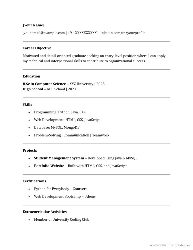 Minimalist Fresher Resume 